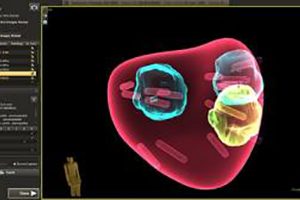 mr füzyon biyopsi üronav